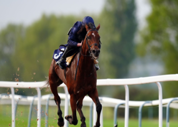 Copa del Rey Predictions: Dark Horses, Favorites, and the Road to the Final