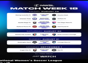 Croatia League Prediction: Who Will Lift the 2024-25 HNL Trophy?