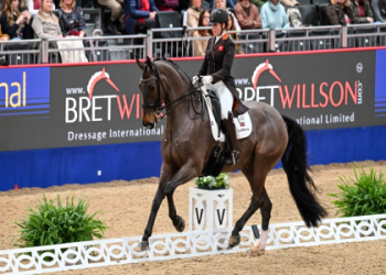 2024 League Cup Prediction: Dark Horses, Data Models, and the Fixture Twist that Could Crown a Shock Winner