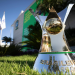 Predictions Brazil Serie A: Who Will Lift the Trophy in 2024?