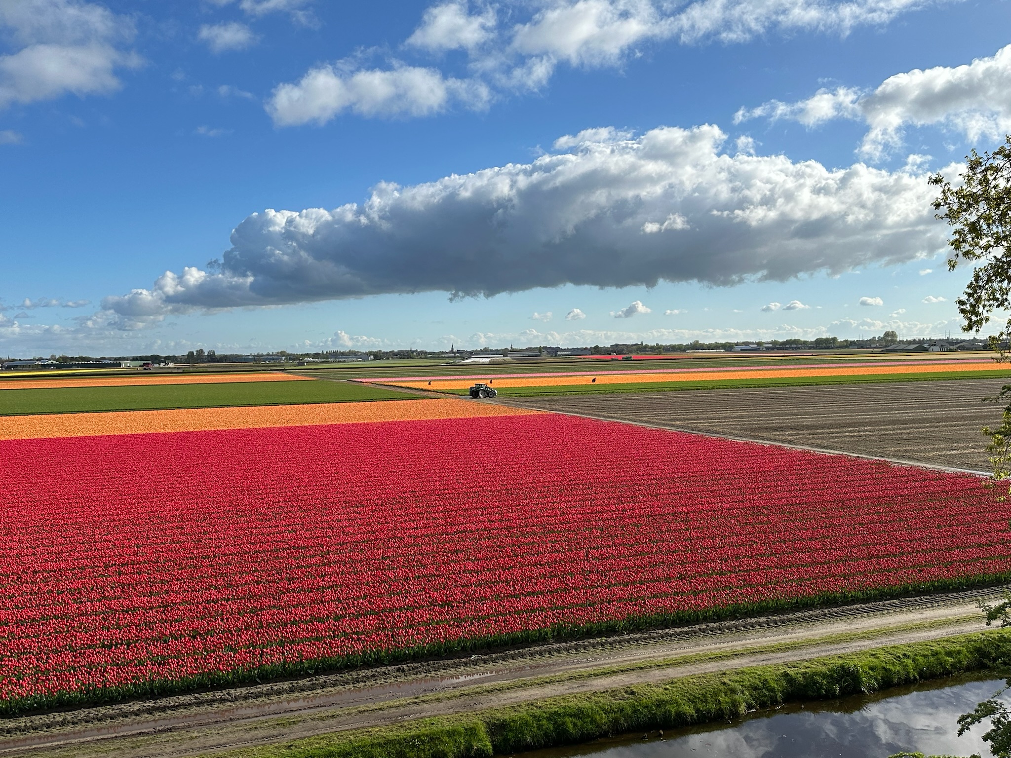 Netherlands Prediction 2025–2030: From Smart Deltas to Quantum Tulips