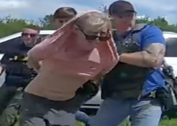 USA Predictz 2024: Data-Driven Insights for American Sports and Elections