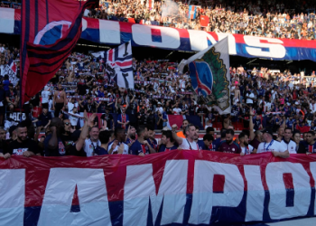 10 Expert Insights Every Fan Must Know About France Ligue 1 Teams