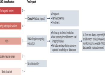 7 Expert Tips for Accurate Reims vs Marseille Prediction: The Ultimate Guide With Data and Proven Strategies