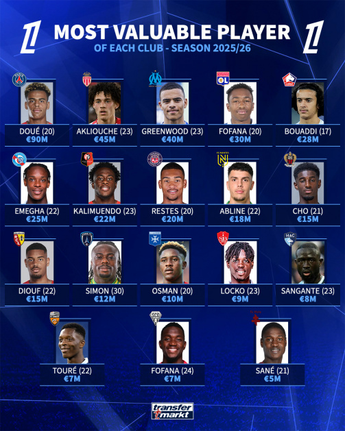 10 Expert Insights Every Fan Must Know About France Ligue 1 Teams