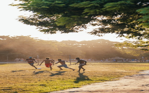 7 Expert Secrets about Brazil Footballer Pele: The Ultimate Guide to His Legacy and Impact