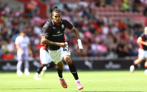 7 Expert Bologna vs Verona Prediction Strategies: The Ultimate Guide for Series A Bettors